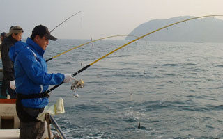 海船垂钓对象鱼的守钓钓组配置与运用