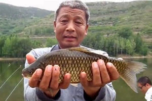 炎炎夏季石河头水库钓鲤鱼之行 [视频]