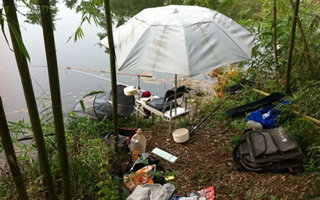 夏天钓不到鲫鱼的原因和应对技巧