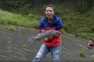 《江湖行》湘西山塘战青草 水库草鱼频频上 [视频]