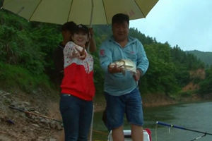 《江湖行》渠江洄湾拔草鲤 水库风雨战鲢鳙 [视频]