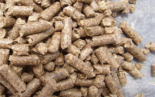 颗粒饵料的三个实用开饵技巧