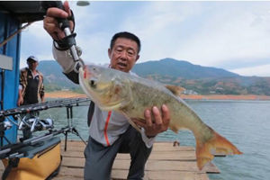 游钓中国第二季第6集 初探二滩水库 抛竿钓鲢鳙 [视频]