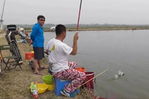 地瓜钓鱼：沧州月牙湖黑坑战鲤纪实 [视频]
