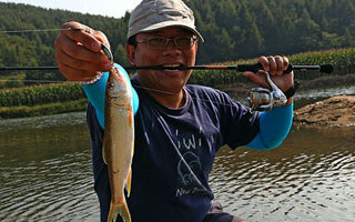 山穷水尽飞蝇寻马口 风光景美溪哥马口齐欢腾