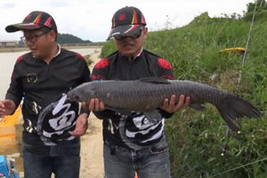 《涉钓英雄传》苗岭明珠凯里黑坑搏鲤青 [视频]