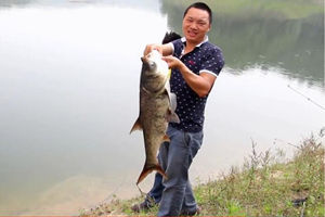 游钓十堰之丹江口水库钓三十斤大鲢鳙 [视频]