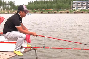 黑坑一路行第二季06  沈阳龙泉湖干散饵钓鲤记 [视频]