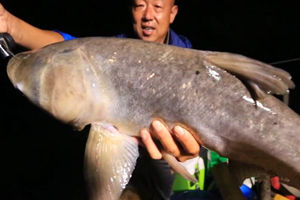 游钓中国第二季第15集 夜守清江中鲢鳙 [视频]
