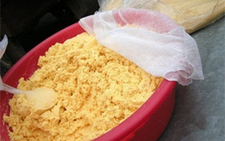 秋季钓鱼的打窝用饵要点及玉米窝料制作