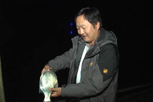 渔乐任我行第三期 太平湖夜钓鳊鱼行 [视频]