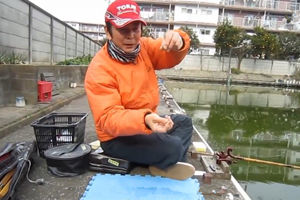 野本黑拉教室 底钓抛竿后正确回竿及饵的状态2 [视频]