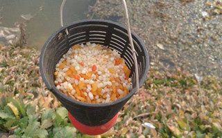 钓鱼打窝的四个实用技巧及窝料配方分享