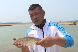 野钓江湖第二季04 野趣大广坝 水库钓土鲮 [视频]