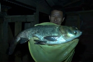 筏钓江湖第一季40期 夜筏柞蚕厂 左勾右引战花鲢 [视频]