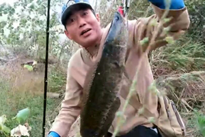 三耳鱼的黑鱼世界 2016秋季雷强第45集 湖北游钓3 [视频]
