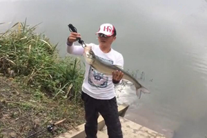 河流路亚沉水铅笔擒获米级大翘嘴之行 [视频]