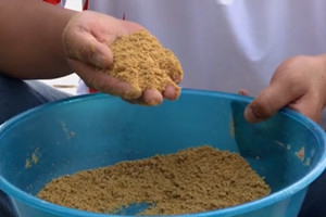 坑冠之路第13期 黑坑神饵小黄面开饵试钓 [视频]