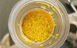 酒米打窝蚯蚓钓 三小时获鱼两斤多