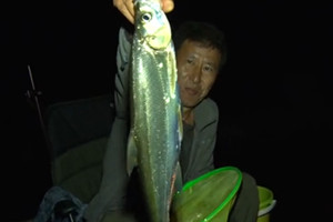 筏钓江湖第一季46期 夜筏丹江口守鲤不成 意外收获翘嘴 [视频]