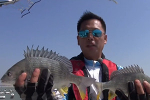 《海洋战士》闽南船矶探黑鲷 偶遇金鲳鱼 [视频]