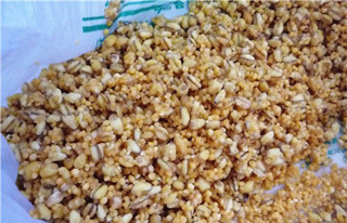 简谈冬季野钓打窝宜用小药