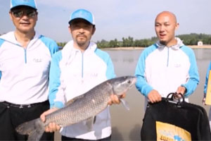 我的家乡有大鱼：野外垂钓挑战南京站（下）钓获大青鱼 [视频]
