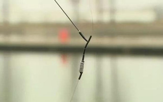 黑坑竞技钓速上鱼的飞铅钓法体会