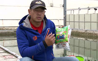 坑冠之路第31期 黑坑高手讲解饵料状态知识 [视频]