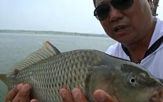 钩尖江湖第一季61 小崔随机应变水库钓大鲤鱼 [视频]