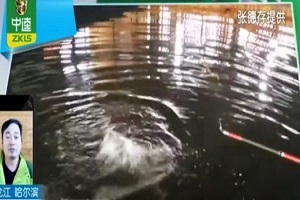 饵目一新第42期：哈尔滨冬钓馆之鲤鱼饵料搭配 [视频]