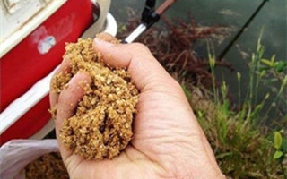 水库野钓打窝的误区和正确操作