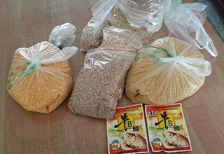 用玉米牛B鲫自制钓鱼窝料的方法