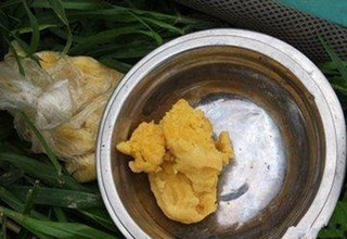 民间高手自制配方 鲤鱼爱到不行