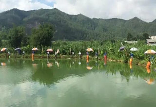 从定义、分类、使用及误区四个方面了解小药