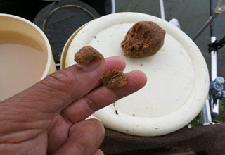 搓饵和拉饵的钓目不一样的原因