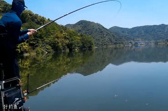 钓鱼实战（三十四）水库野钓 拔鲤鱼搏鲢鳙 [视频]