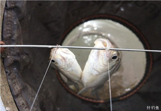 双飞入护,白条连竿,随着直升机嗡嗡声鸣金收兵