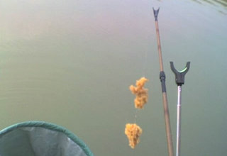 夏季野钓鲫鱼鲤鱼的5个拉饵技巧