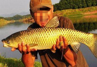自制7款钓草鱼水果饵料配方