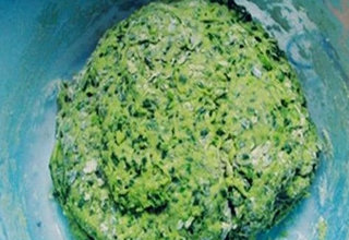 一款钓草鱼的植物饵料配方