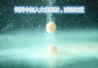 黑坑中鱼不下底的特征和应变技巧