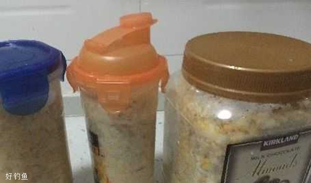 自制钓大鲤鱼大草鱼的发酵醪糟饵料 [图解]