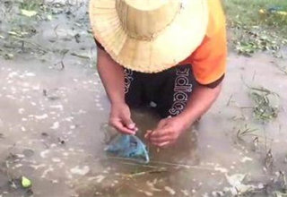 懒人钓鱼法,黑鱼黄鳝一个都没少