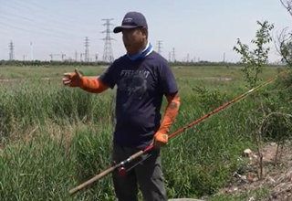 路亚黑鱼之雷强 如何按照鱼情选择合适的雷蛙 [视频]
