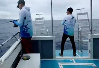 《海洋战士》深海猎鱼 宝岛探寻金枪鱼 [视频]