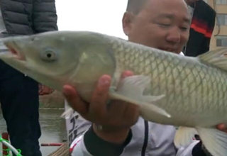 钩尖江湖第二季06 小崔速战黑坑搏巨草 [视频]
