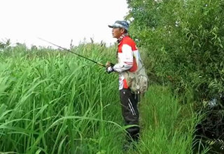 三耳鱼的黑鱼世界 2017夏季雷强之二十七 [视频]