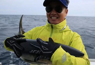 飞澳两万里13 蓝鳍金枪鱼盛宴 [视频]