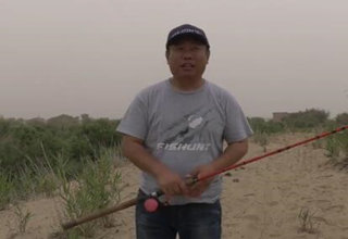 路亚黑鱼之雷强 初战库尔勒 详解窗口期的时段 [视频]